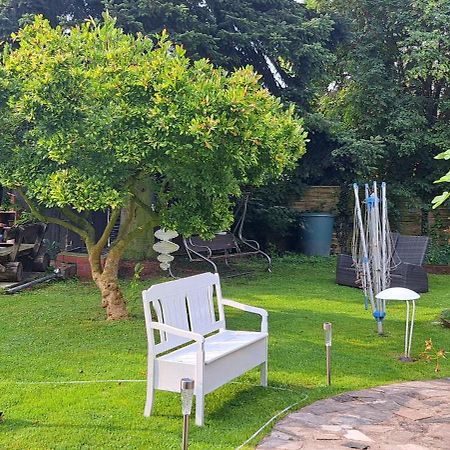 Bungalow An Der Tanne Mit Ueberdachter Terrasse 杜塞尔多夫 外观 照片
