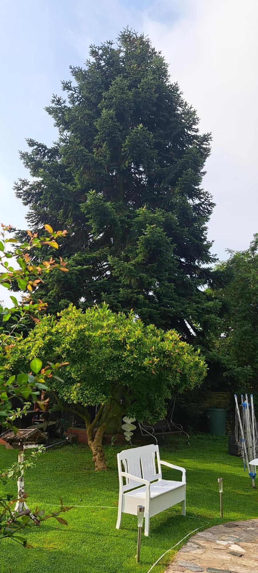 Bungalow An Der Tanne Mit Ueberdachter Terrasse 杜塞尔多夫 外观 照片
