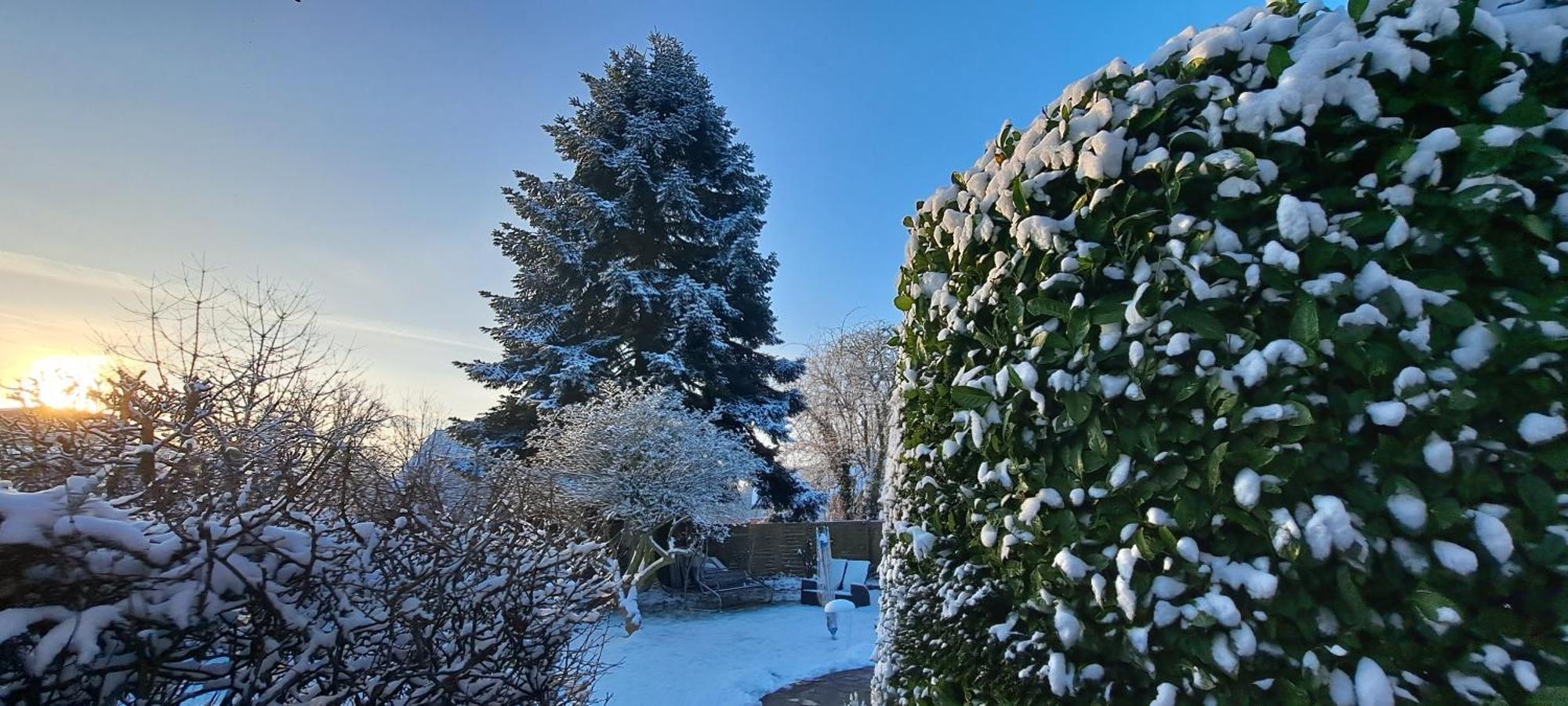 Bungalow An Der Tanne Mit Ueberdachter Terrasse 杜塞尔多夫 外观 照片