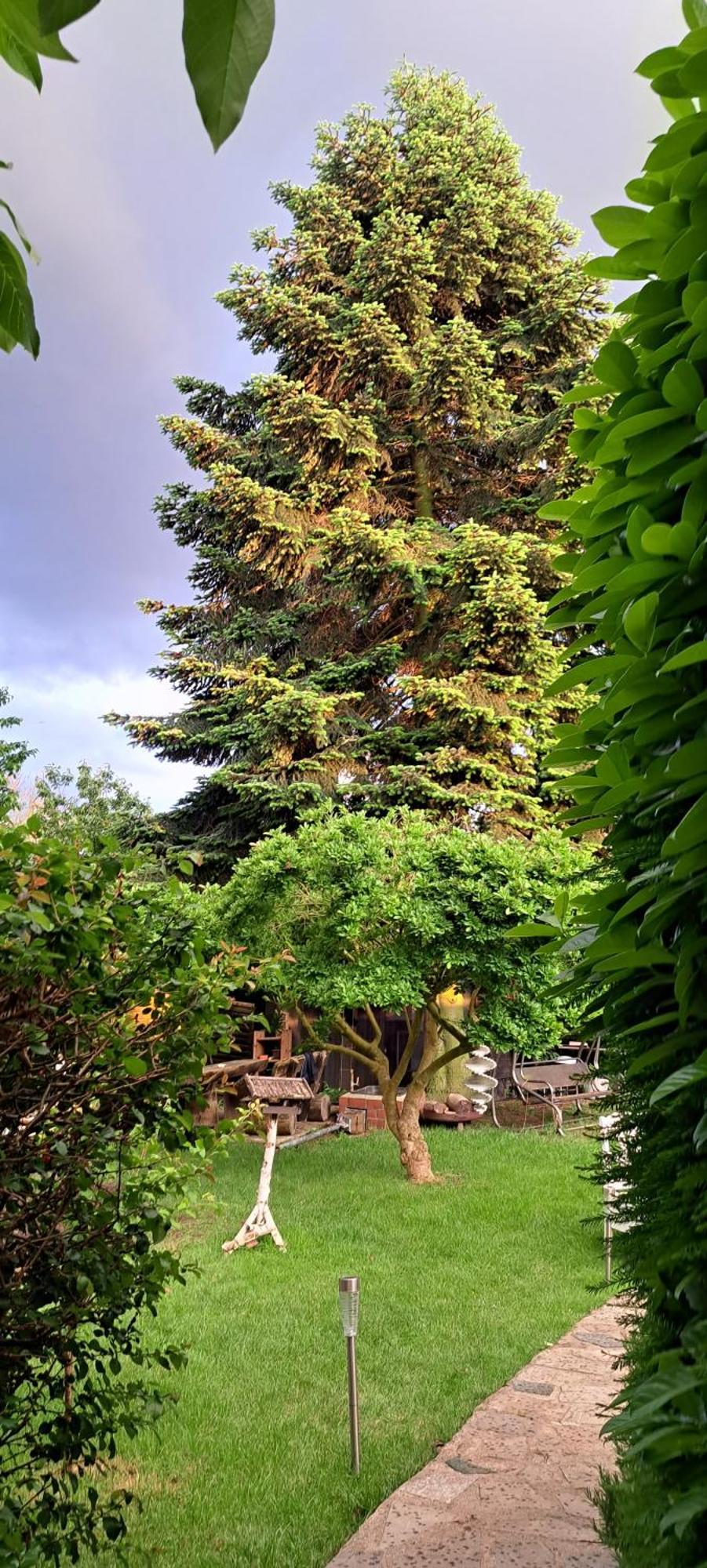 Bungalow An Der Tanne Mit Ueberdachter Terrasse 杜塞尔多夫 外观 照片